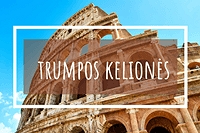 https://www.pasirinksparnus.lt/trumpos-keliones
